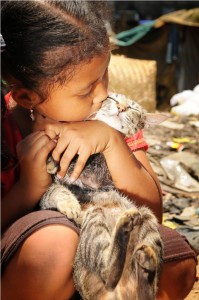 BAWA cat and child